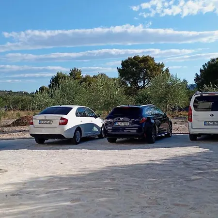 Ana, Sibenik -